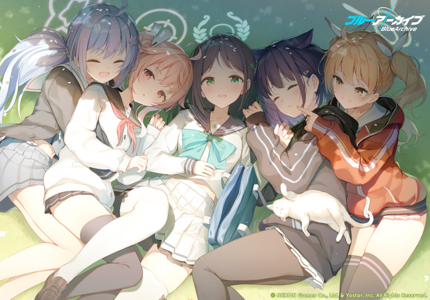 5girls after-school_sweets_club_(blue_archive) ahoge airi_(blue_archive) animal_ears beads black_hair black_hoodie black_jacket black_pantyhose black_thighhighs blonde_hair blue_archive blue_hair blush brown_hair cat cat_ears cheek_poking closed_eyes colored_inner_hair extra_ears grass green_eyes grin hair_beads hair_ornament hair_scrunchie halo highres hood hoodie jacket kazusa_(blue_archive) light_blue_hair light_brown_hair long_hair looking_at_viewer lying miniskirt multicolored_hair multiple_girls natsu_(blue_archive) nijihashi_sora official_art pantyhose pink_hair pleated_skirt poking red_eyes red_hoodie reisa_(blue_archive) school_uniform scrunchie short_hair side_ponytail skirt sleeping smile star_halo streaked_hair thighhighs two-tone_hair white_thighhighs yellow_eyes yoshimi_(blue_archive)