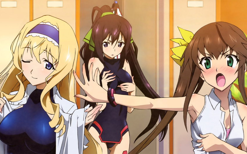 cecilia_alcott huang_lingyin infinite_stratos shinonono_houki tagme