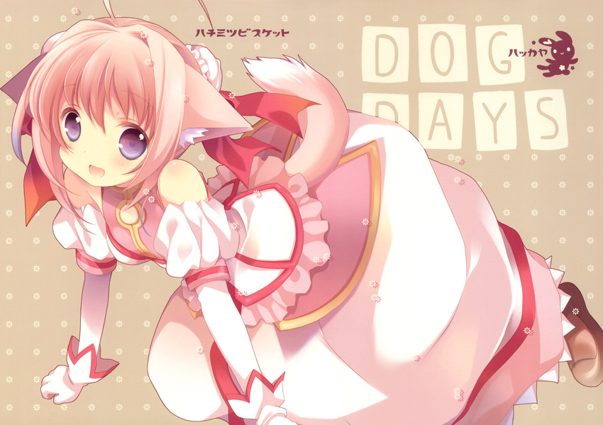 ahoge all_fours animal_ears bare_shoulders bun_cover cover cover_page detached_sleeves dog_days dog_ears dog_girl dog_tail double_bun doujin_cover doujinshi dress gloves hair_ribbon highres long_skirt looking_at_viewer millhiore_f_biscotti non-web_source pink_hair purple_eyes red_ribbon ribbon skirt solo tail tokumi_yuiko white_gloves