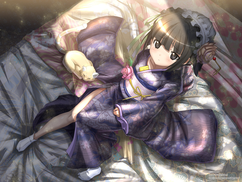 bare_legs bed black_eyes black_hair blush cat collarbone flower from_above frown hair_flower hair_ornament hat headdress ikoku_meiro_no_croisee japanese_clothes kimono kimura_shigetaka letter looking_up no_shoes obi sash shade short_hair shy side_slit sitting sleeves_past_wrists solo tabi watermark web_address wide_sleeves yune_(ikoku_meiro_no_croisee)