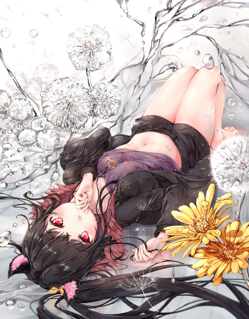 1girl absurdres animal_ears bare_legs barefoot belt black_hair black_jacket black_shorts blade_&amp;_soul breasts brown_shirt covering_mouth dandelion flower fur_collar hair_ornament hair_spread_out hands_up highres hmw_(pixiv7054584) jacket jewelry knees_up long_hair long_sleeves looking_at_viewer lying lyn_(blade_&amp;_soul) midriff navel necklace on_back open_clothes open_jacket red_eyes revision shirt shirt_lift short_shorts shorts side_ponytail small_breasts solo stomach thighs upside-down water water_drop yellow_flower