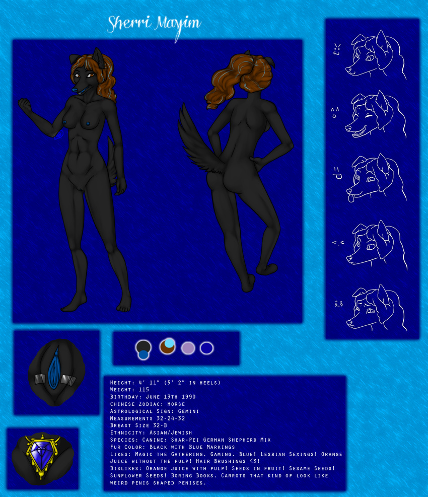 black blue blue_pussy blue_vagina breasts brown_hair canine cunny dog female fur hair magic_the_gathering mammal model_sheet mox_sapphire nipples phoenix-of-a-down pose pussy red_eyes ref_sheet sharpei sherri_mayim solo spread_open spreading