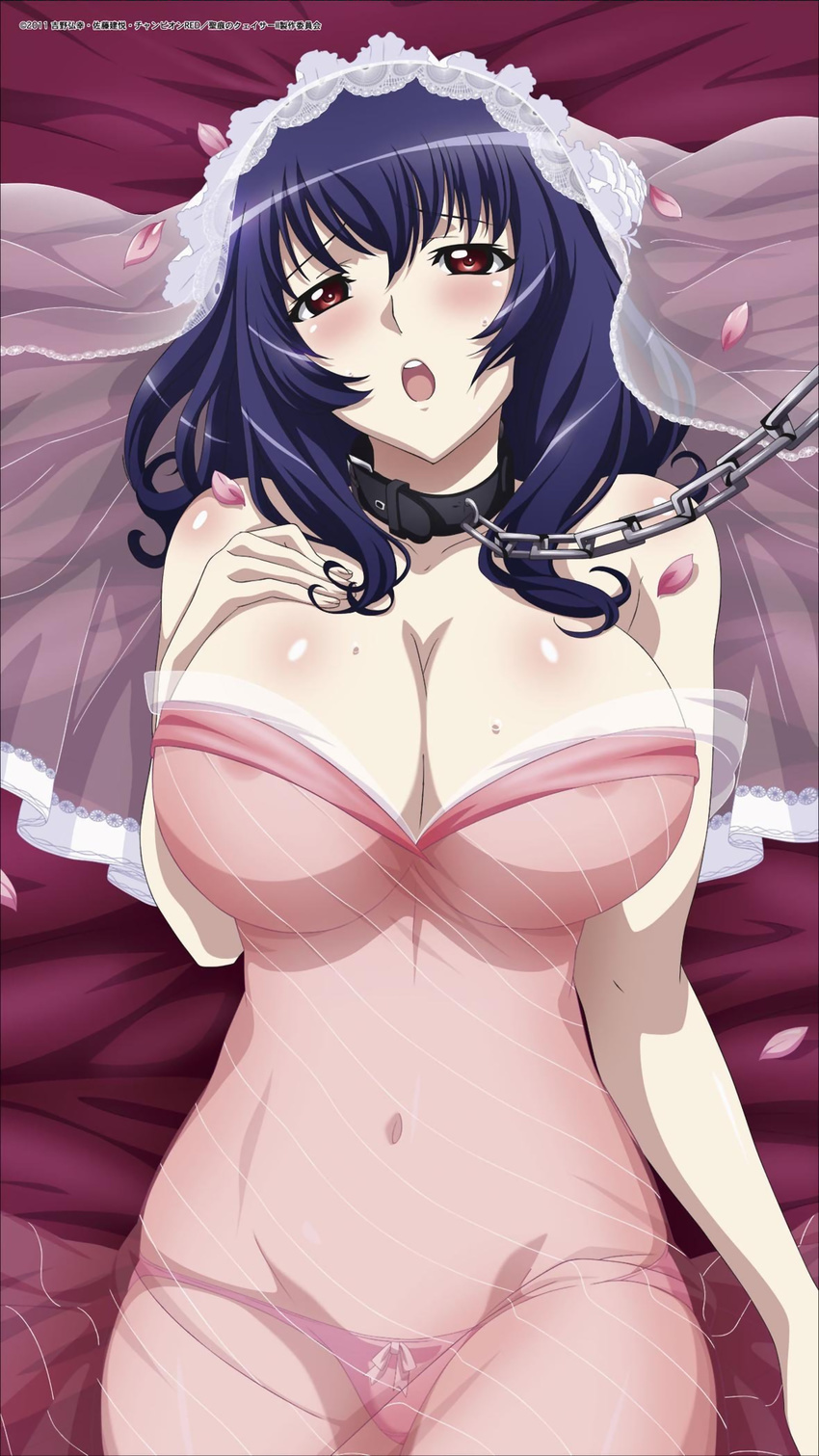 areolae artist_request bdsm blue_hair blush bondage bound breasts chain cleavage collar curvy groin hairband hand_on_own_chest highres huge_breasts leash lowleg lowleg_panties lying navel official_art on_back open_mouth panties petals pink_panties red_eyes see-through seikon_no_qwaser skindentation solo sweat underwear veil yamanobe_tomo