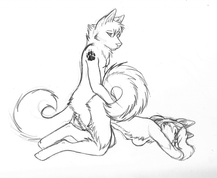 anthro black_and_white breasts canine claws couple dog doggie_style eyes_closed female hair hindpaw husky inkpawz long_hair male monochrome nude paws penetration plain_background sex straight tail tattoo vaginal vaginal_penetration white_background