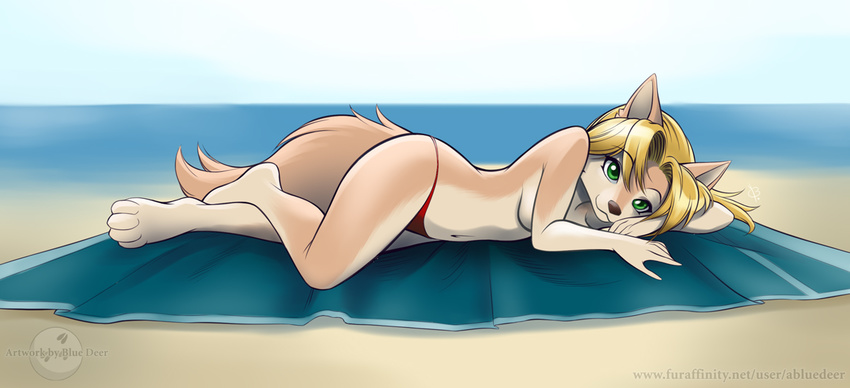 beach bikini breasts canine clothed clothing cute female half-dressed looking_at_viewer lying mammal on_side redwulf seaside skimpy solo swimsuit tight_clothing topless towel wolf