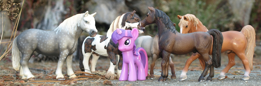 action_figures alicorn anatomically_correct equine female feral friendship_is_magic hasbro horn horse imminent_rape male mammal my_little_pony photography pony real schieich sheath tail toy toys twilight_sparkle_(mlp) unicorn