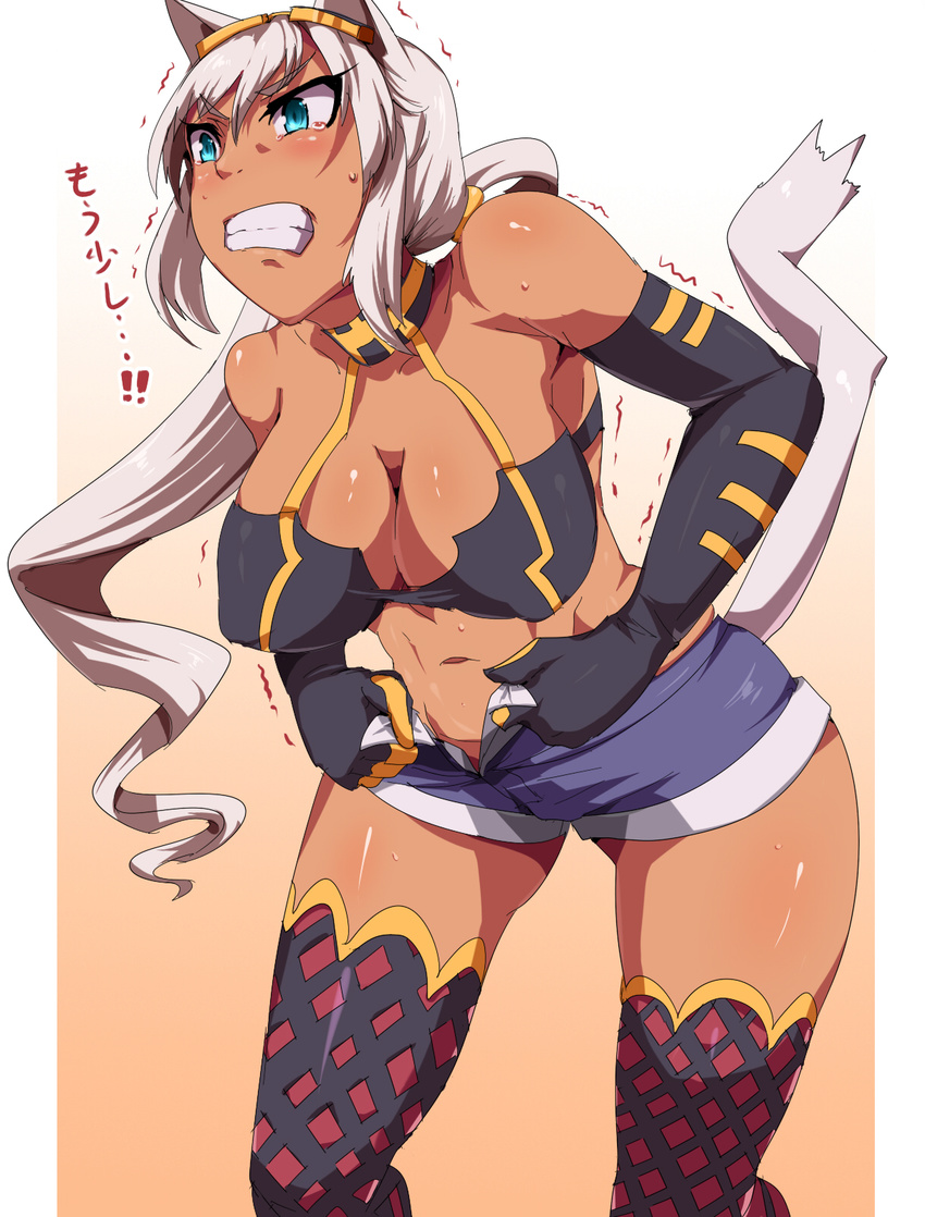 animal_ears artist_request bare_shoulders bikini_top blush breasts dark_skin elbow_gloves fishnet_legwear fishnet_stockings fishnets gloves highres kaiten_muten-maru large_breasts legwear long_hair navel open_fly shamu_meruruusa shorts silver_hair solo thighhighs umakatsuhai unbuttoned uncensored unzipped