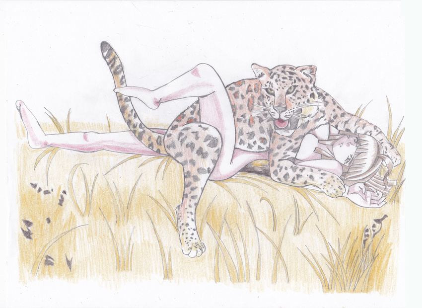 absurdres animal bare_shoulders bestiality blush brown_hair doggystyle grassy highres humping leopard lying nature non-web_source on_back sex sweat traditional_media