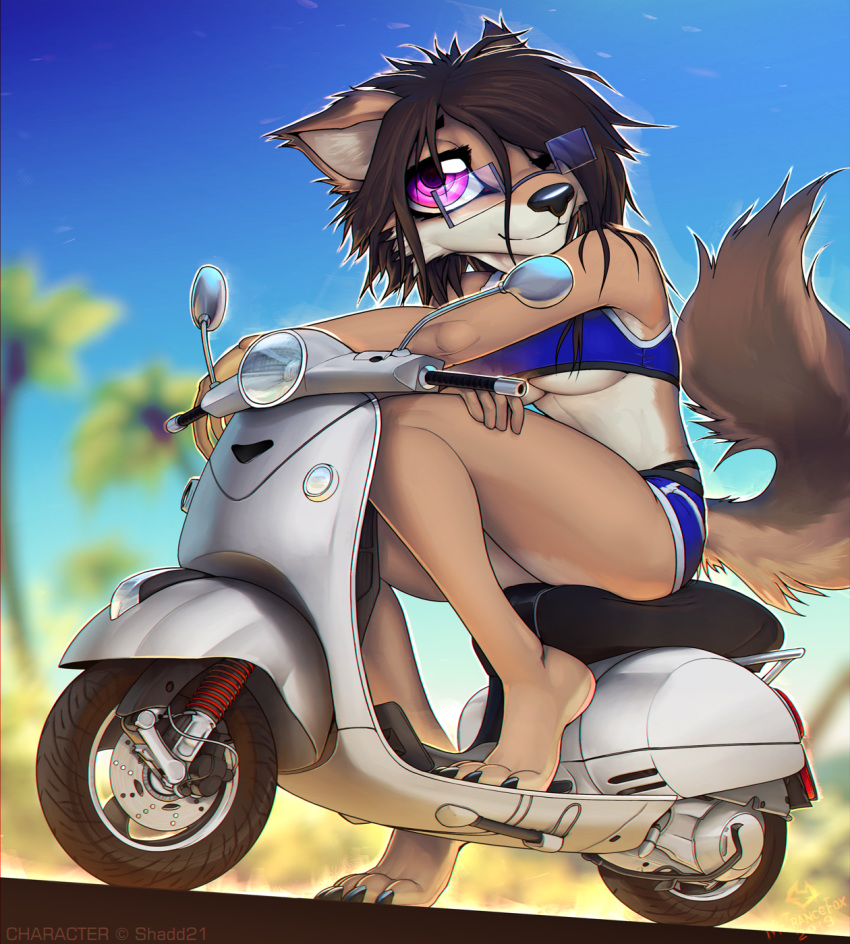 2019 anthro barefoot big_eyes bikini biped black_claws black_hair black_nose blue_bottomwear blue_clothing blue_sky blue_topwear blurred_background breasts brown_fur brown_tail canid canine canis claws clothed clothing day depth_of_field digital_media_(artwork) female fur hair hair_over_eye hi_res long_hair looking_at_viewer macmegagerc mammal moped multicolored_fur outside pink_eyes scooter sky smile solo swimsuit tan_fur toe_claws tree two_tone_fur under_boob vehicle wolf