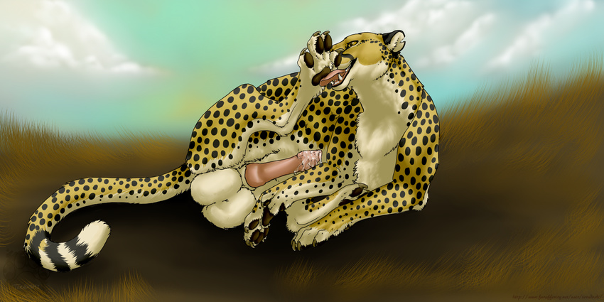 big_balls cheetah feline feral foot_fetish hyper hyper_balls licking_foot male mammal non-morph paw_licking paws penis precum savanna savannah solo spots tongue toradoshi