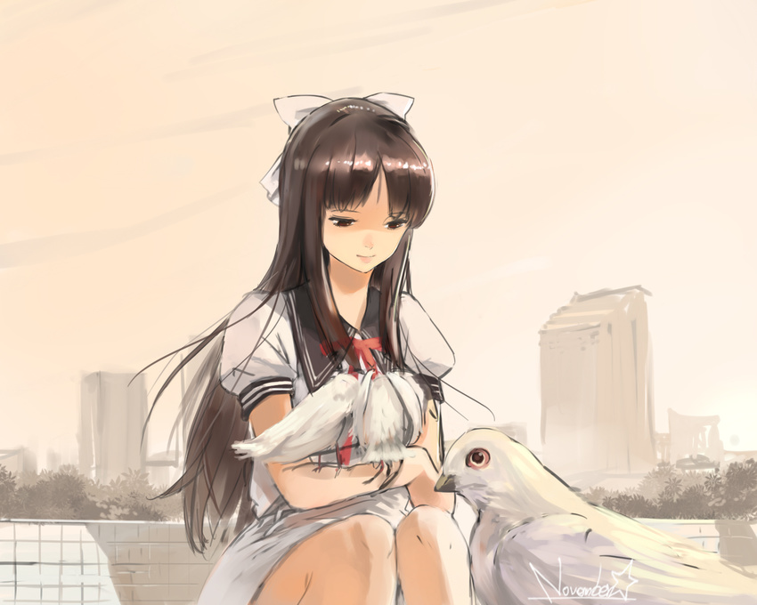 bangs bird brown_hair building chikumaen_kaho hair_ribbon highres holding jeanex long_hair looking_down mayoi_neko_overrun! pigeon ribbon school_uniform shadow sitting solo