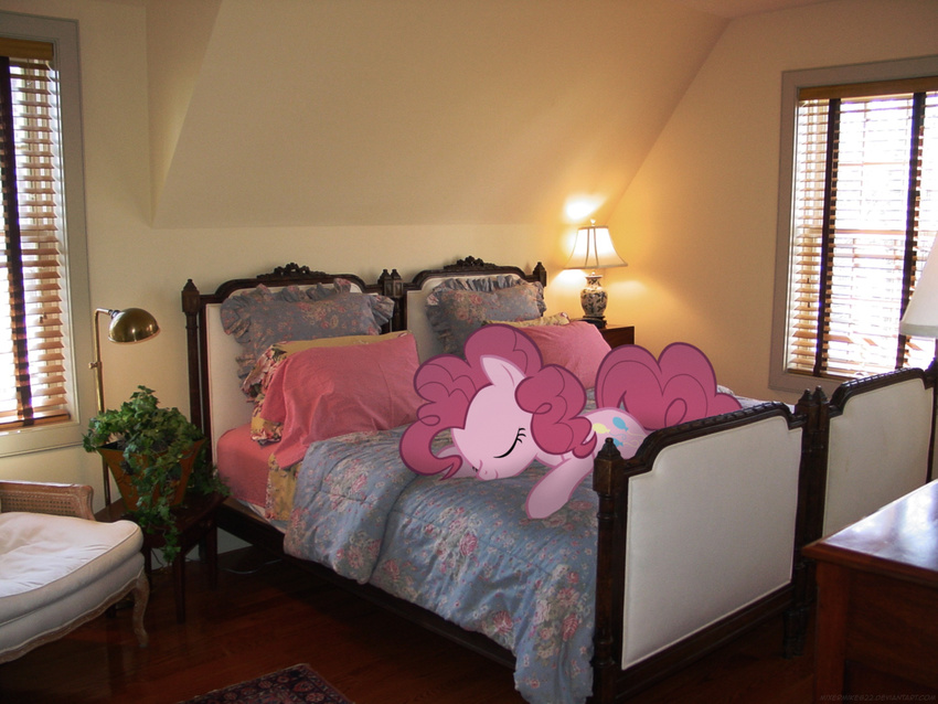 blanket blinds chair cute daytime equine eyes_closed female feral friendship_is_magic fur furniture hair hasbro horse ivy lamp mammal mixed_media mixermike622 my_little_pony pillow pink_fur pink_hair pinkie_pie_(mlp) plant ponies_in_real_life pony quilt real sheets sleeping solo table window wood