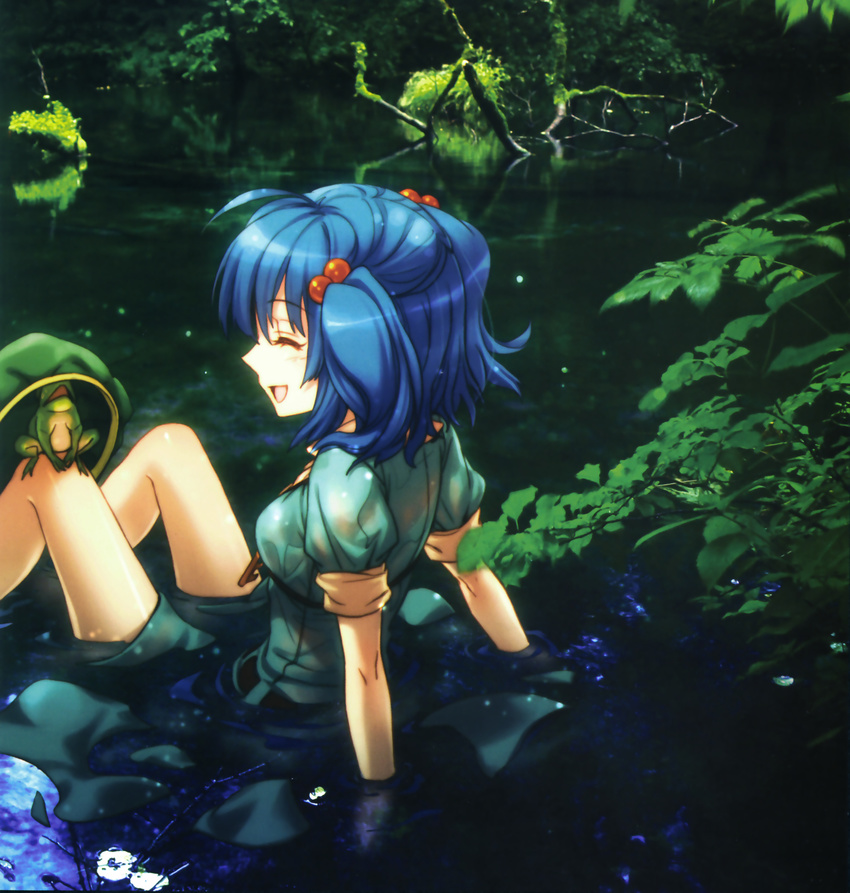 an2a arm_support blue_hair closed_eyes frog hat hat_removed headwear_removed highres image_sample kawashiro_nitori leaf nature profile reflection scan short_hair sitting smile solo touhou tree two_side_up water wet wet_clothes yandere_sample