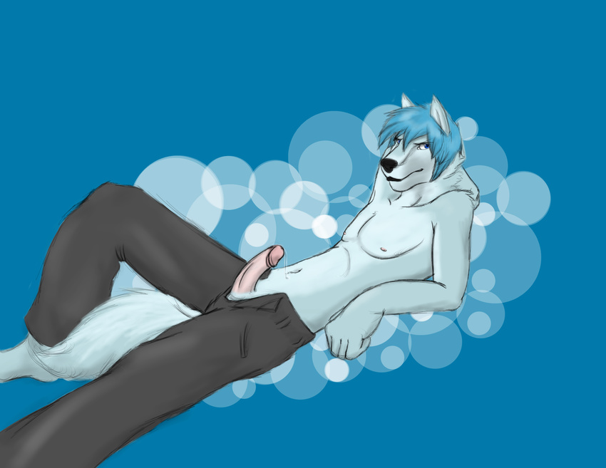 blue_eyes blue_hair canine clothing dog dripping hair hi_res husky ishigray koma looking_at_viewer male mammal penis precum solo topless wusky