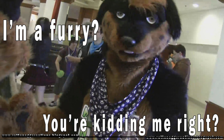 animated canine dog flash fursuit rottie rottweiler