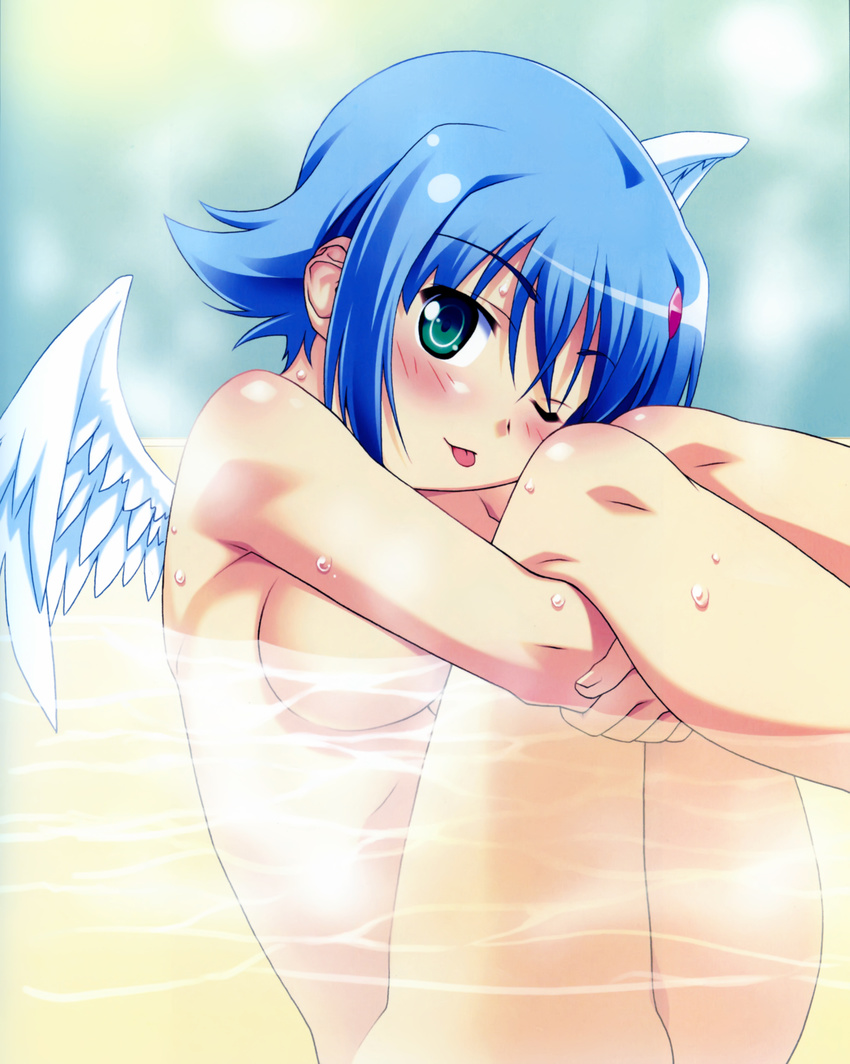 :p absurdres angel angel_wings blue_eyes blue_hair blush highres kuuchuu_yousai leg_hold leg_hug nanael nude one_eye_closed queen's_blade short_hair solo tongue tongue_out water wet wings
