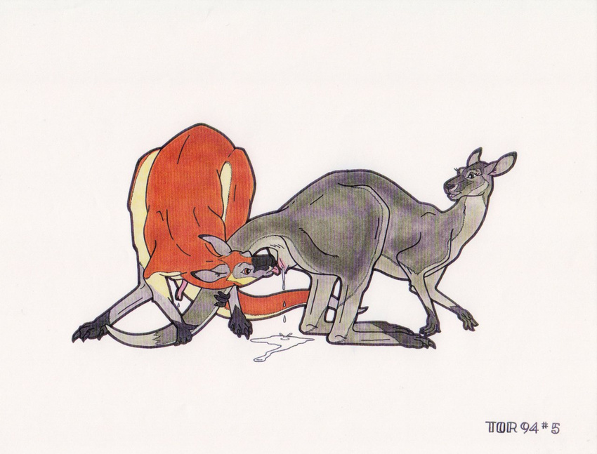 after_sex anatomically_correct bent_over cloaca cum cum_in_pussy cum_inside cunnilingus felching female feral feral_on_feral from_behind kangaroo licking looking_back male mammal marsupial messy oral oral_sex penis sex straight tim_o'rourke tongue tor vaginal