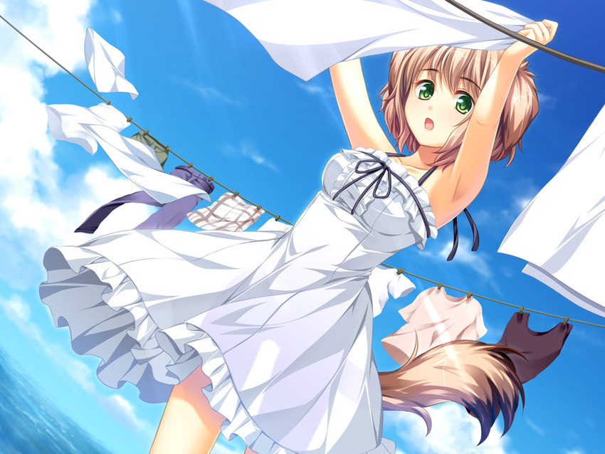 1girl :o animal_ears breasts brown_hair clothes dog_ears doggirl dress frills game_cg green_eyes highres koya_chachako laundry looking_at_viewer ocean otomimi_infinity outdoors ribbon short_hair sky solo tail water