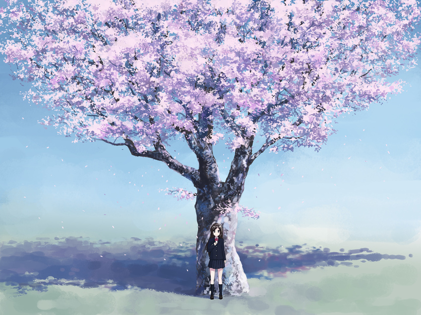 black_legwear blazer brown_eyes brown_hair cherry_blossoms highres isou_nagi jacket petals pleated_skirt sakura_saku_(vocaloid) scenery school_uniform skirt socks solo tree vocaloid