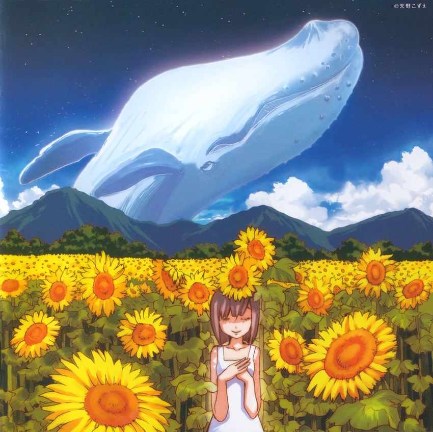 album_cover amano_kozue cloud cover day flower highres mountain original scan sky solo sunflower whale