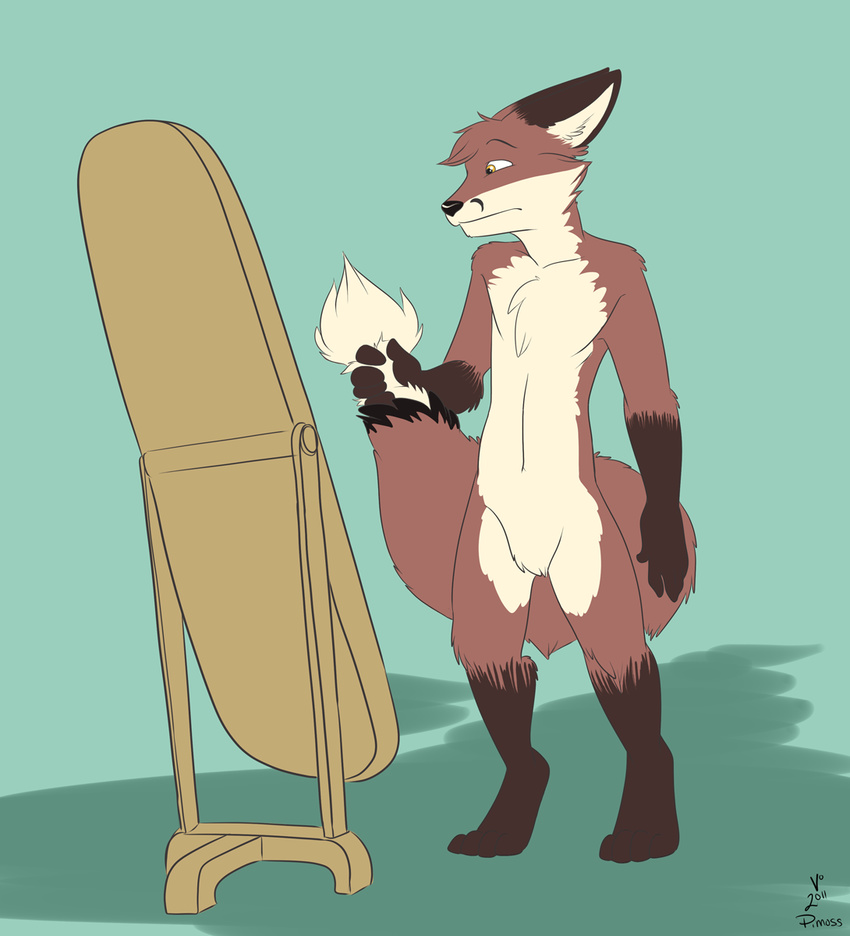 canine fox male mammal mirror nude pmoss sad solo tail_grab