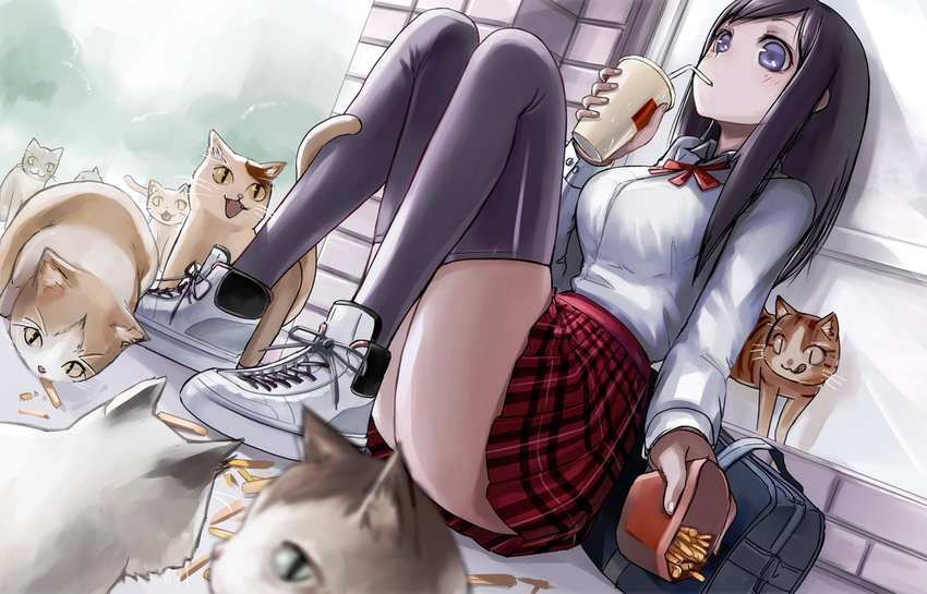 bad_id bad_pixiv_id black_hair black_legwear blue_eyes cat drink food french_fries long_hair miniskirt original plaid plaid_skirt pleated_skirt red_skirt skirt solo tea_(nakenashi) thighhighs