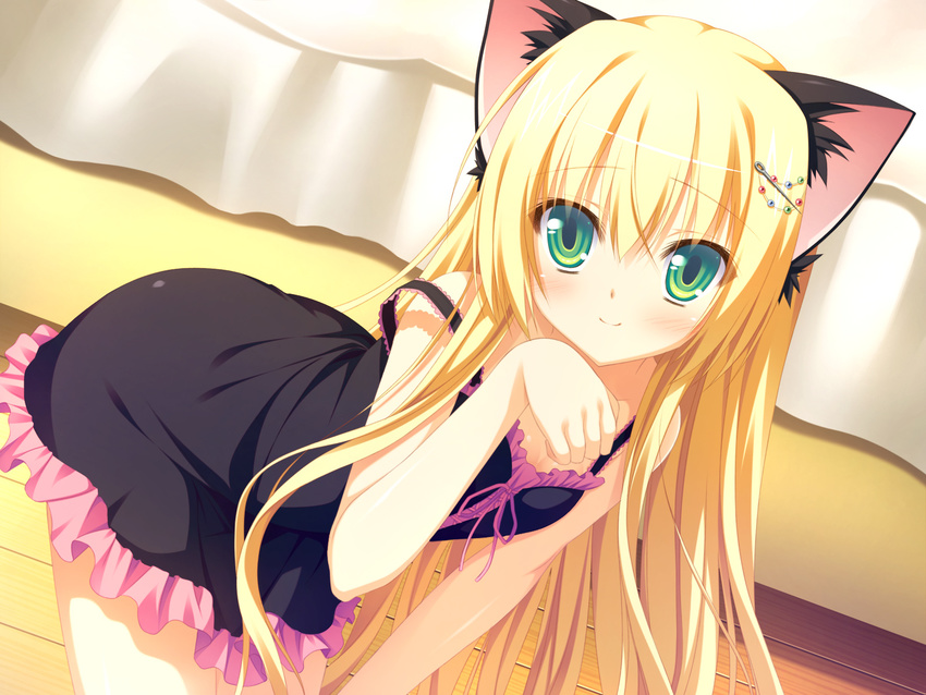 animal_ears blonde_hair blush cat_ears game_cg green_eyes highres indoors long_hair narumi_yuu_(bunbukudou) oni_gokko! paw_pose smile solo sumiyoshi_kureha