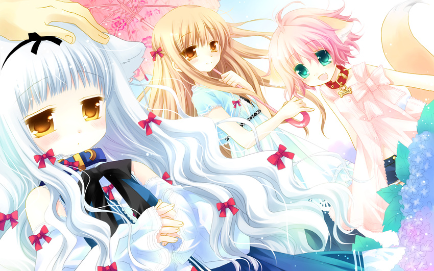 animal_ears aqua_eyes blush child collar dog_ears dog_tail fang flower hair_ribbon highres lily_(wanko) long_hair multiple_girls open_mouth orange_eyes outdoors parasol pink_hair ribbon sakurazawa_izumi short_hair sky smile tail touko_(wanko_to_lily) umbrella very_long_hair wallpaper wanko wanko_to_lily white_hair yellow_eyes