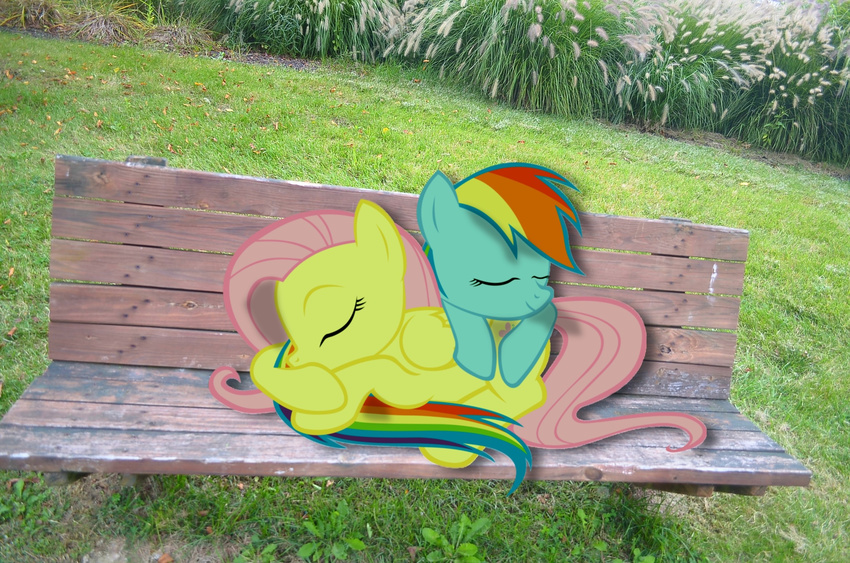 cute cutie_mark daytime equine eyes_closed female feral fluttershy_(mlp) friendship_is_magic grass hair horse mammal mixed_media multi-colored_hair my_little_pony pegasus pink_hair plants ponies_in_real_life pony rainbow_dash_(mlp) rainbow_hair real sleeping wings