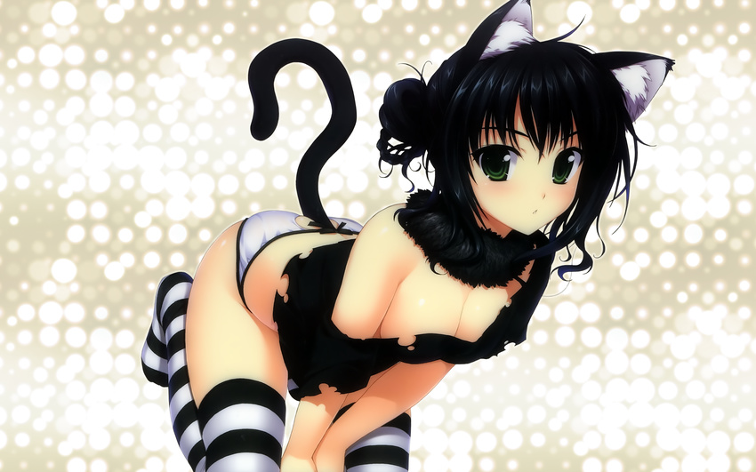 alpha animal_ears catgirl panties tail thighhighs torn_clothes underwear