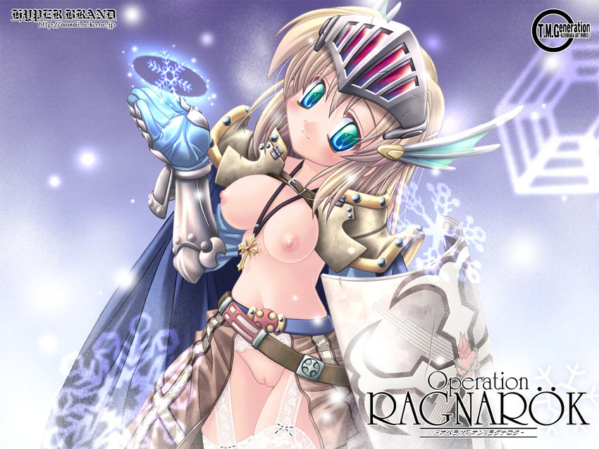 animal_ears armor blonde_hair blue_eyes breasts cat_ears crusader garter_belt gradient_eyes green_eyes highres ishihara_masumi multicolored multicolored_eyes nipples nude pussy ragnarok_online short_hair small_breasts smile solo visor_(armor) wallpaper