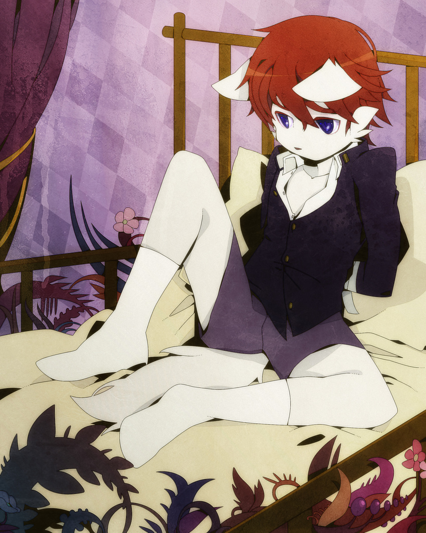 &#24481;&#26716;&#38634;&#24321;&#22825; ????? bed blue_eyes brown_hair canine clothed clothing curtains flower fox hair hi_res male mammal plants short_brown_hair short_hair shorts sitting socks solo