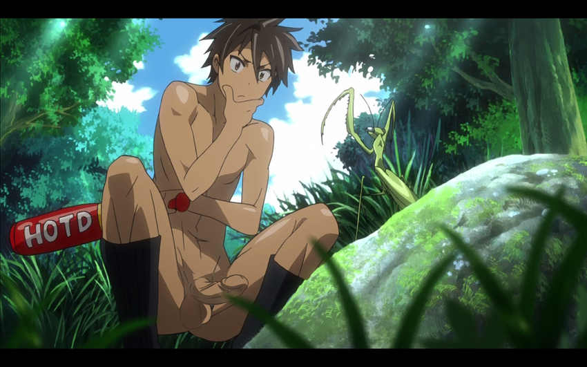 baseball_bat brown_eyes brown_hair come_at_me_bro erection grass highschool_of_the_dead komuro_takashi male male_focus nude nude_filter penis photoshop praying_mantis solo uncensored what