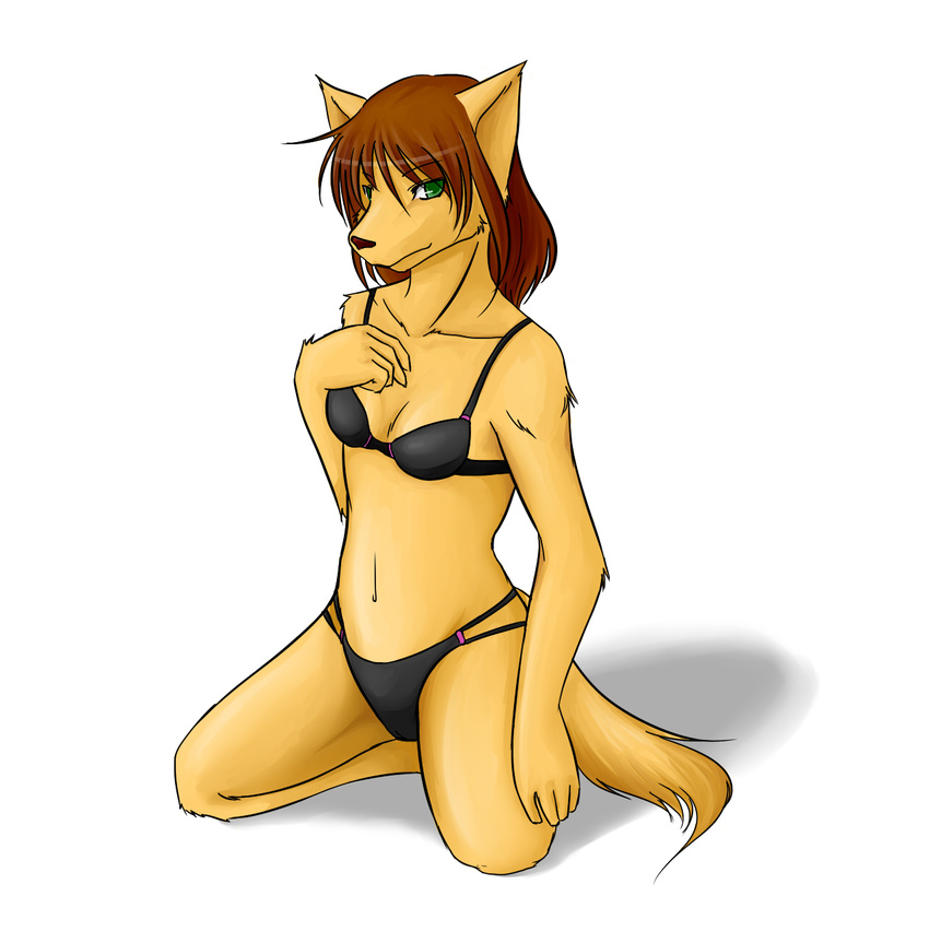 brown_hair brown_nose canine clothed clothing diva female green_eyes hair hi_res kneeling long_hair looking_at_viewer mammal pinup plain_background pose simple_background skimpy solo underwear white_background