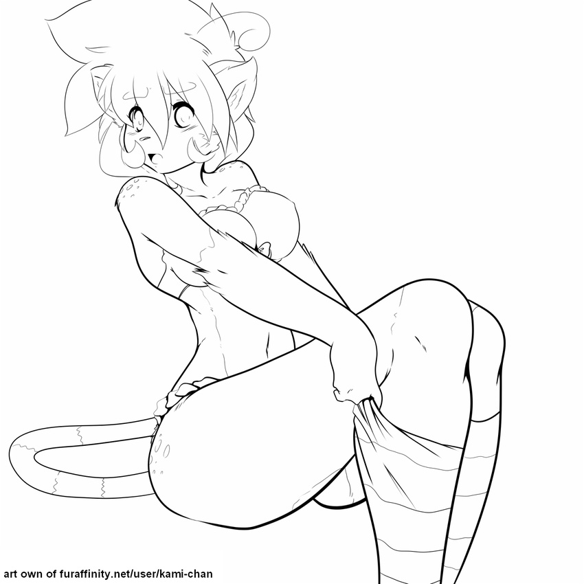 blush bow bra breasts dress dressing embarrassed feline female freckles frills hi_res kami-chan legwear line_art lintu_(character) looking_at_viewer mammal monochrome open_mouth pinup plain_background pose rodent ruffles sitting socks solo stockings striped_stockings stripes surprise tail underwear