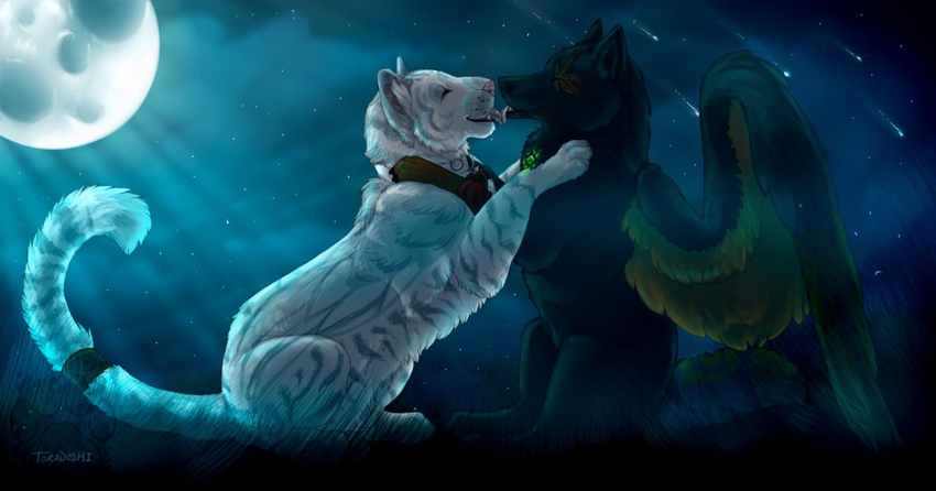 collar eyes_closed feline female feral grass jewelery jewelry kintari kissing male mammal moon night stars tiger tongue toradoshi white_tiger winged_wolf wings wolf