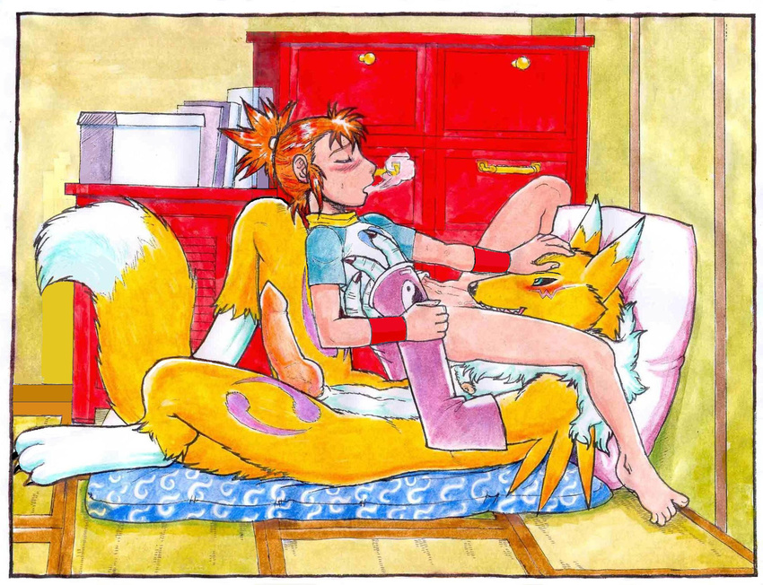 bed blush canine claws clothing crossgender cunnilingus digimon digiphilia duo female fox futon gauntlets human human_on_anthro interspecies knot male male_renamon mammal mariano nude oral oral_sex penis pillow renamon rika_nonaka sex straight tail vaginal wristband young