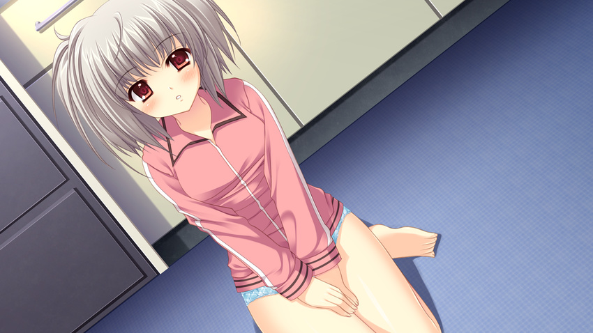 blush game_cg gray_hair kona_nako nishimata_aoi panties red_eyes sekai_seifuku_kanojo underwear world_wide_love