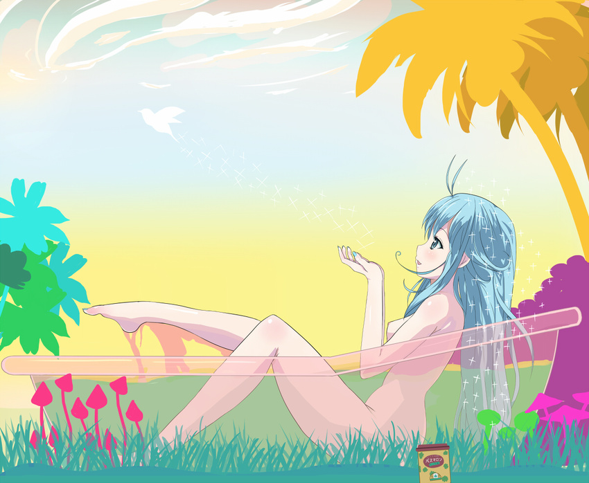 antenna_hair barefoot bath bathing bathtub bird blue_eyes blue_hair blush breasts denpa_onna_to_seishun_otoko dove feet leg_lift long_hair moriya nail_polish nipples nude outdoors palm_tree profile see-through sitting sky slipper_bathtub small_breasts smile solo sparkle touwa_erio transparent_bathtub tree water