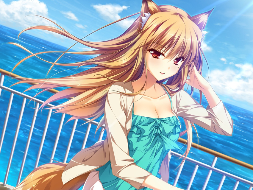 adjusting_hair animal_ears breasts brown_hair cleavage cloud collarbone day dutch_angle fox_ears fox_tail game_cg hand_in_hair highres jacket long_hair looking_at_viewer medium_breasts miyama_kon mole mole_under_eye open_mouth otomimi_infinity red_eyes sky smile solo sunlight tail tank_top wallpaper water yasaka_minato