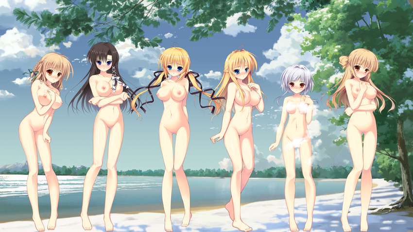 6girls artist_request beach breasts erect_nipples large_breasts manatsu_no_yoru_no_yuki_monogatari multiple_girls nipples nude oppai shy tagme vagina