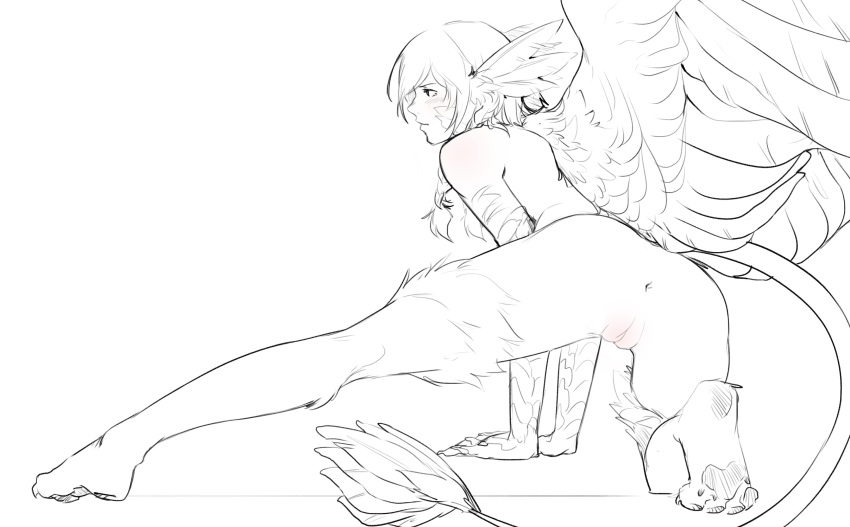 1girl absurdres anus braid commentary english_commentary feathered_wings feathers full_body greyscale griffon_(monster_girl_encyclopedia) highres less long_hair looking_away monochrome monster_girl monster_girl_encyclopedia nude outstretched_leg paws profile pussy sketch solo tail twin_braids wings