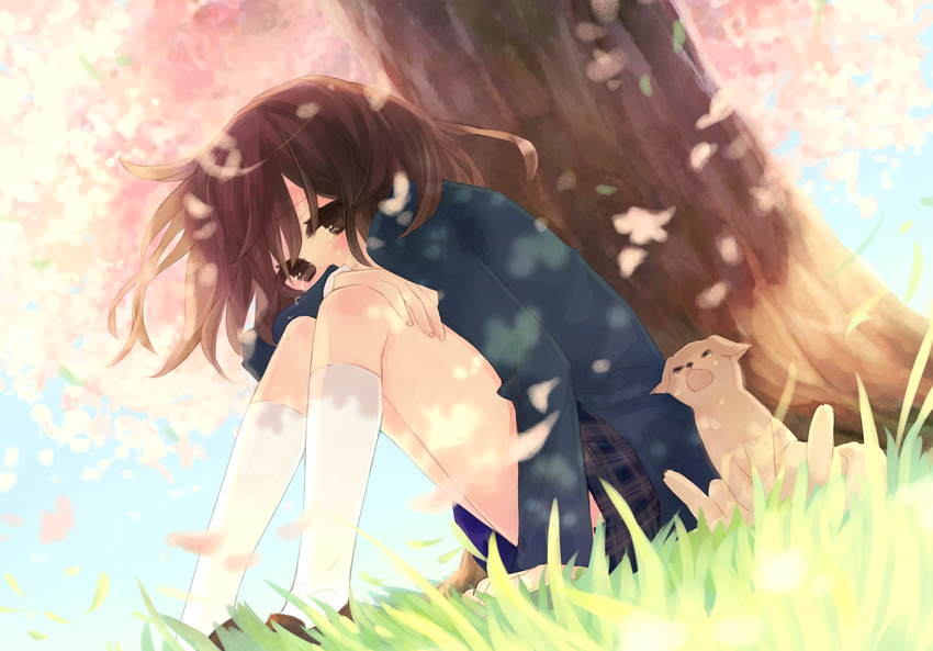 bad_id bad_pixiv_id brown_eyes brown_hair cherry_blossoms copyright_request day dog dutch_angle from_below gaha grass highres open_mouth petals puppy school_uniform short_hair sitting sky socks solo tears tree