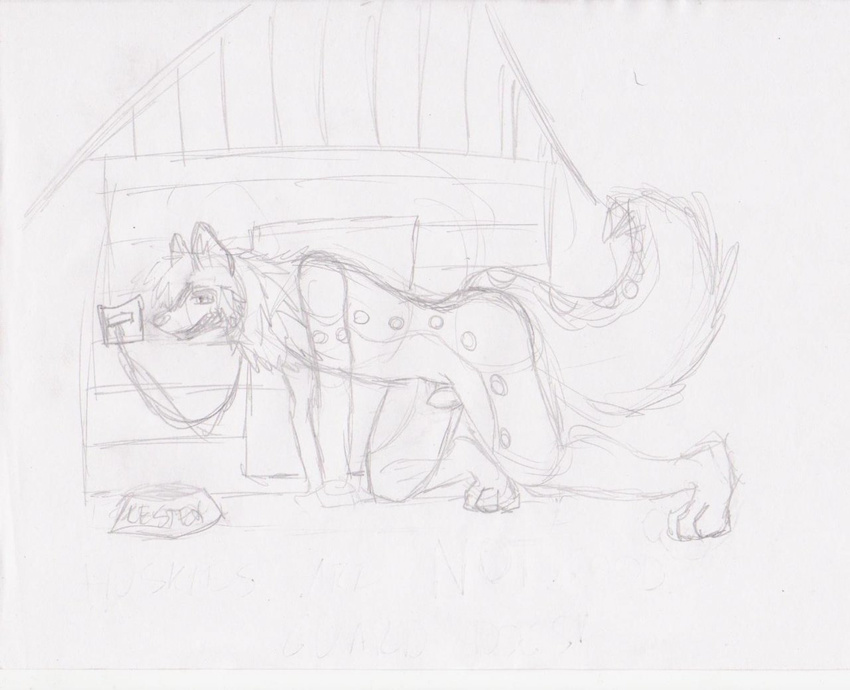 anthro antropomorfic canine dog doghouse fluffy_tail hair invalid_tag k9 lester lesterhusky long_hair male mammal outside sketch solo tail