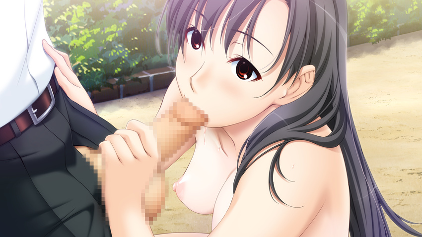 black_hair breasts censored fellatio game_cg ino long_hair nipples penis sister_scheme_2 yanagawa_amane