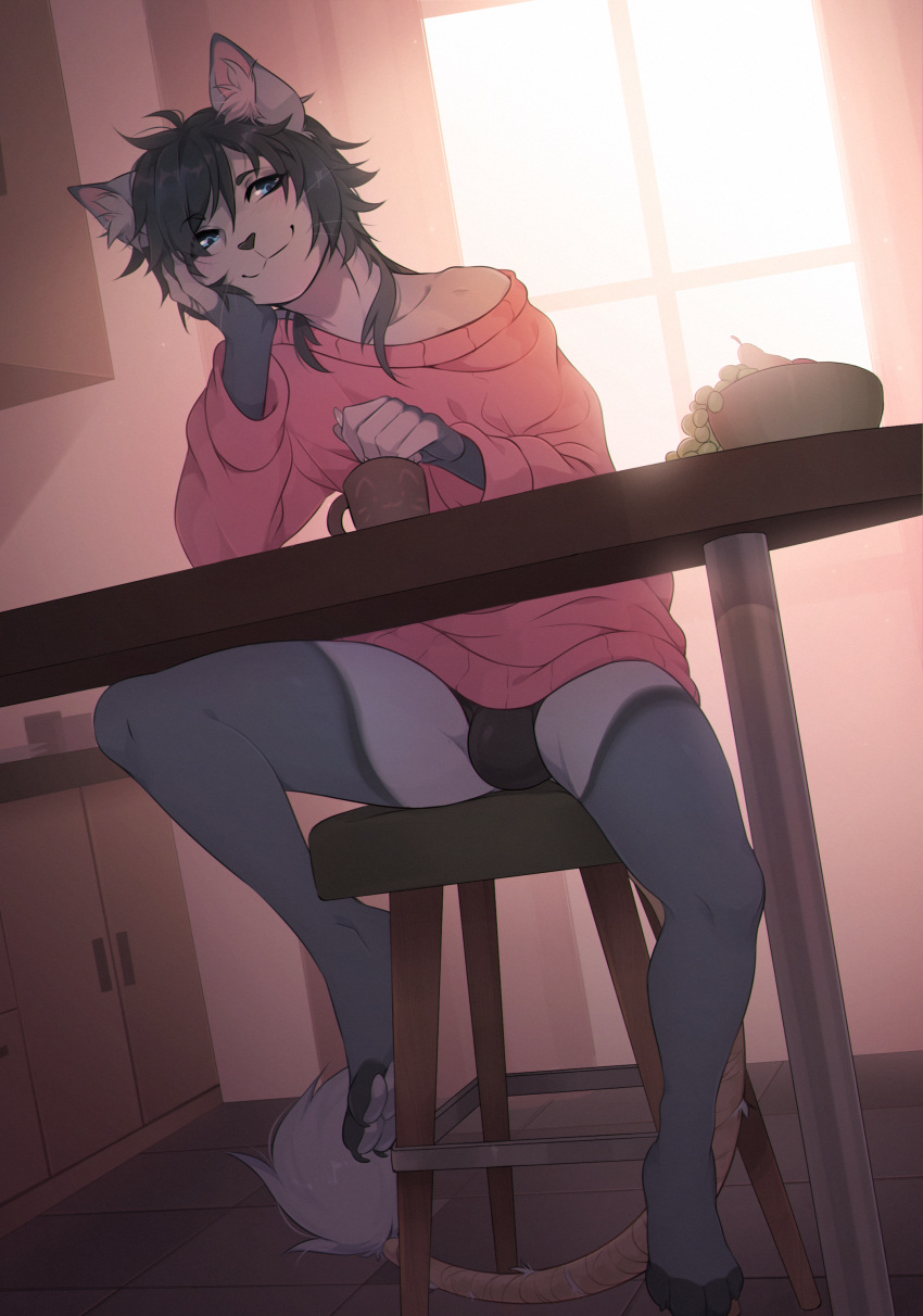 bandage bulge cat clothed clothing feline food frosh fruit fumiko furniture girly inside looking_at_viewer male mammal oversized_clothing partially_clothed smile solo stare sweater table underwear