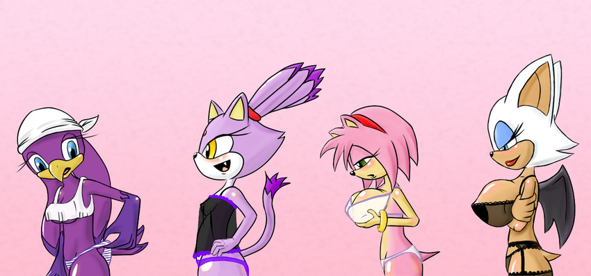 amy_rose avian bandanna bat big_breasts bird blaze_the_cat blue_eyes bra breasts camisole cat clothing drxsmokey fangs feline female fur garter_belt green_eyes hair hedgehog huge_breasts legwear lingerie mammal nightgown panties pink pink_body pink_fur pink_hair plain_background profile purple purple_body purple_feathers purple_fur purple_hair rouge_the_bat sega size_progression small_breasts smile sonic_(series) sonic_riders stockings swallow swallow_(bird) tail under_boob underwear wave_the_swallow white_background wings