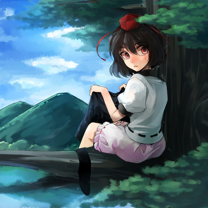 74_(teduka) black_hair black_legwear bloomers hat highres in_tree looking_away looking_back nature red_eyes shameimaru_aya short_hair sitting sitting_in_tree solo surprised tokin_hat touhou tree underwear undressing wide-eyed