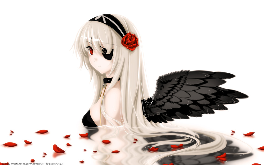 cilou rozen_maiden tagme vector wings