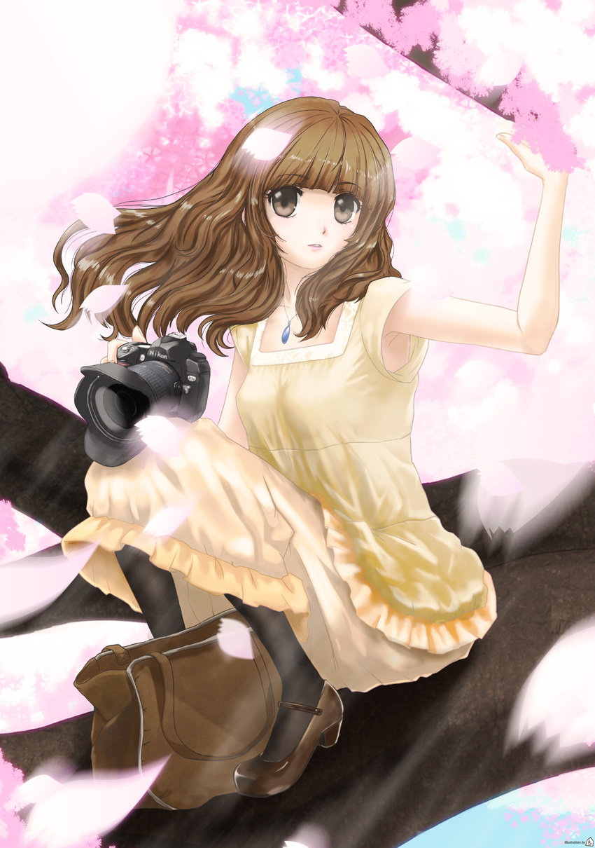 bag brown_eyes brown_hair camera cherry_blossoms dress high_heels highres in_tree jewelry long_hair necklace original pantyhose shoes sitting sitting_in_tree solo tomizawa_jun tree